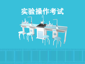 實驗系統